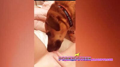 Puppy Petting Leads to Pups Pleasing Pucker