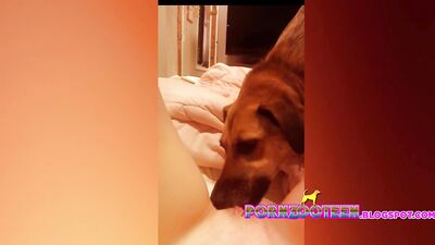 Puppy Petting Leads to Pups Pleasing Pucker