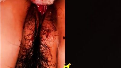 Dirty Dogs Hung Cock Devours Her Wet Pussy