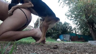 Aire Libre con mí perro