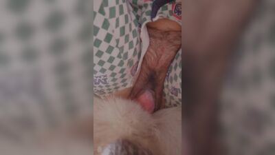 Deep Dog Knotting Frenzy