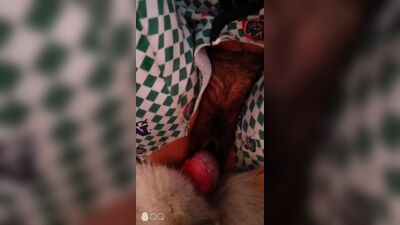 Deep Dog Knotting Frenzy