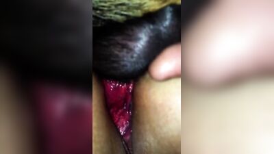 Deep Dog Knotting Frenzy