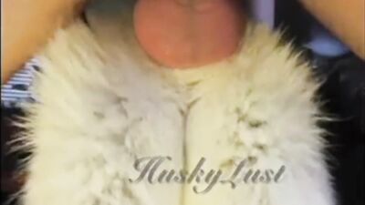 HuskyLust Compilation