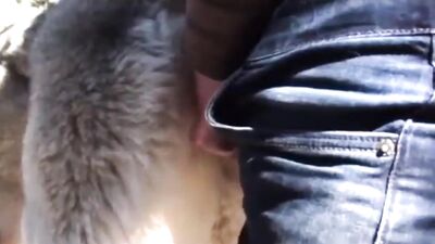 HuskyLust Compilation