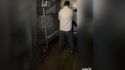 bitch brought to the kennel for sex with multiple dogs