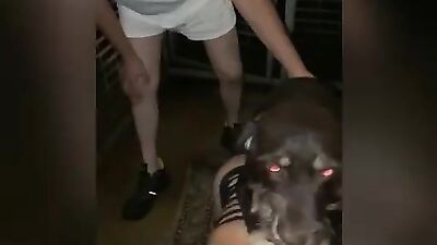 bitch brought to the kennel for sex with multiple dogs