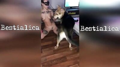 bitch dog
