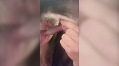 brazilian hotwife wife fucking our dog