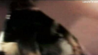 Sultry Cutie Takes On Puppys Thick Cock