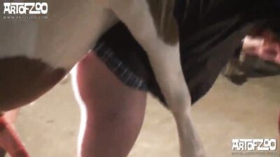 Doggy Lovin Babe Sucks Dick to Slobbery Cumshot
