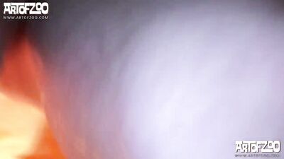 Doggy Lovin Babe Sucks Dick to Slobbery Cumshot