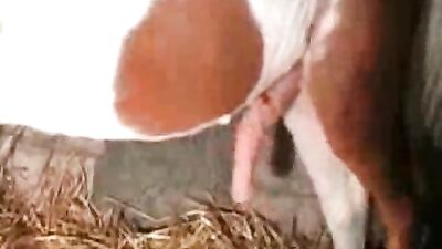 Perky Teen Sucks Cock & Swallows Every Drop