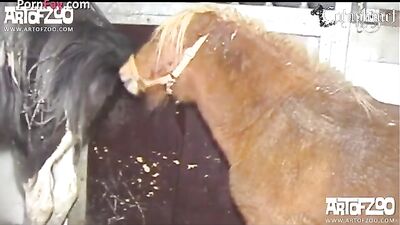 Puppy Love: Sweet Girl Sucks Her New Furry Friend
