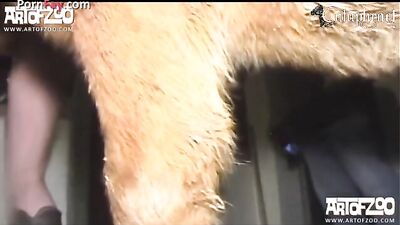 Puppy Love: Sweet Girl Sucks Her New Furry Friend