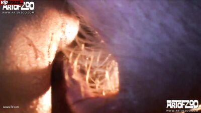 Puppy Love Blowjob Bangers