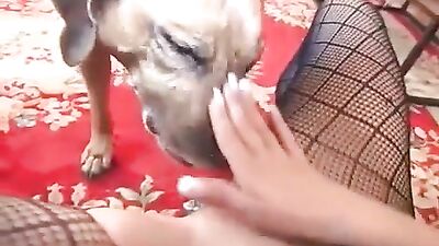 Puppy Love Sticks to Sticky Mouth