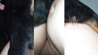 Mex compilation DP dog and husband 01