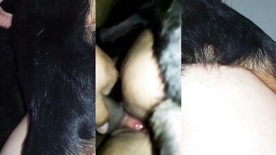 Mex compilation DP dog and husband 01