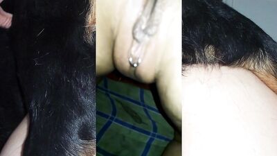 Mex compilation DP dog and husband 01