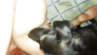 Mex hotwife compilation husband film 3