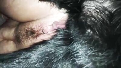 Mex hotwife compilation husband film