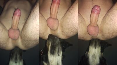Rimjob after knot