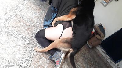 Furry Lovers Secret Affair - Dogs Surprise Blowjob