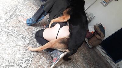 Furry Lovers Secret Affair - Dogs Surprise Blowjob