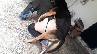 Furry Lovers Secret Affair - Dogs Surprise Blowjob