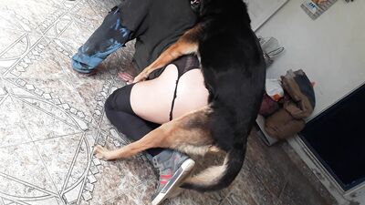 Furry Lovers Secret Affair - Dogs Surprise Blowjob