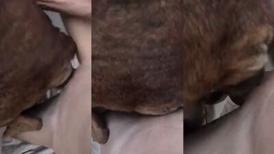 cojiendo a mi perra!!
