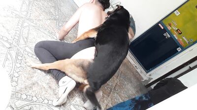 Puppy Love: Hot Girl Gets Licked By Her Faithful Canine Companion