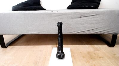 Stellas Wild Ride: Horse Dildo Sissy Slut Showdown