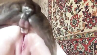 Sinful Zoo Lovers Get Bred By Hung Canines