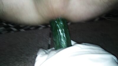 Dogs Lap Up Hard Cock in Slobbery Blowjob
