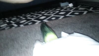 Dogs Lap Up Hard Cock in Slobbery Blowjob