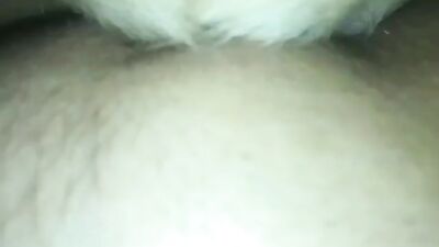 Pet Sitting