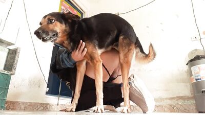 Puppy Love: My Faithful Hounds Secret Blowjob Obsession
