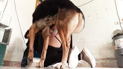 Puppy Love: My Faithful Hounds Secret Blowjob Obsession