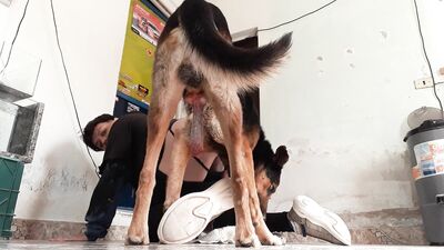 Puppy Love: My Faithful Hounds Secret Blowjob Obsession