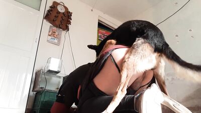 Doggies Devoted Love Leads To Filthy Blowjob And Messy Cumshot