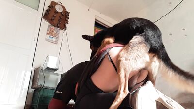 Doggies Devoted Love Leads To Filthy Blowjob And Messy Cumshot
