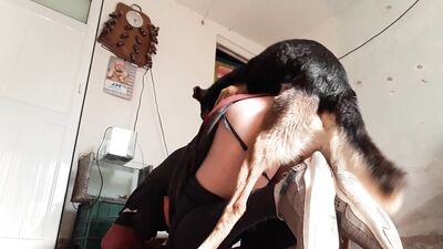 Doggies Devoted Love Leads To Filthy Blowjob And Messy Cumshot