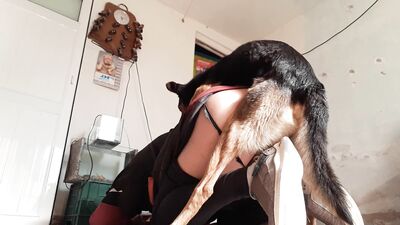 Doggies Devoted Love Leads To Filthy Blowjob And Messy Cumshot