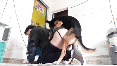 Puppy Love: Hot Girl Gives Doggy a Throaty Blowjob