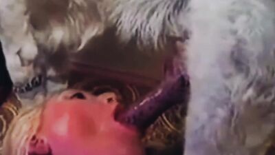 Dog cock suck 2