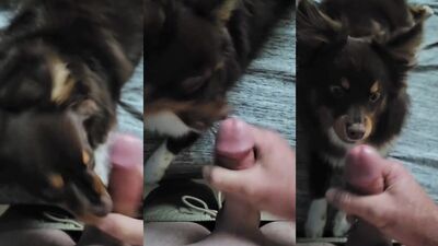 Cum For My Pup