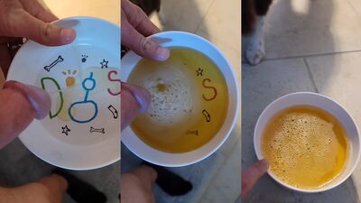 Pup Drinks Piss