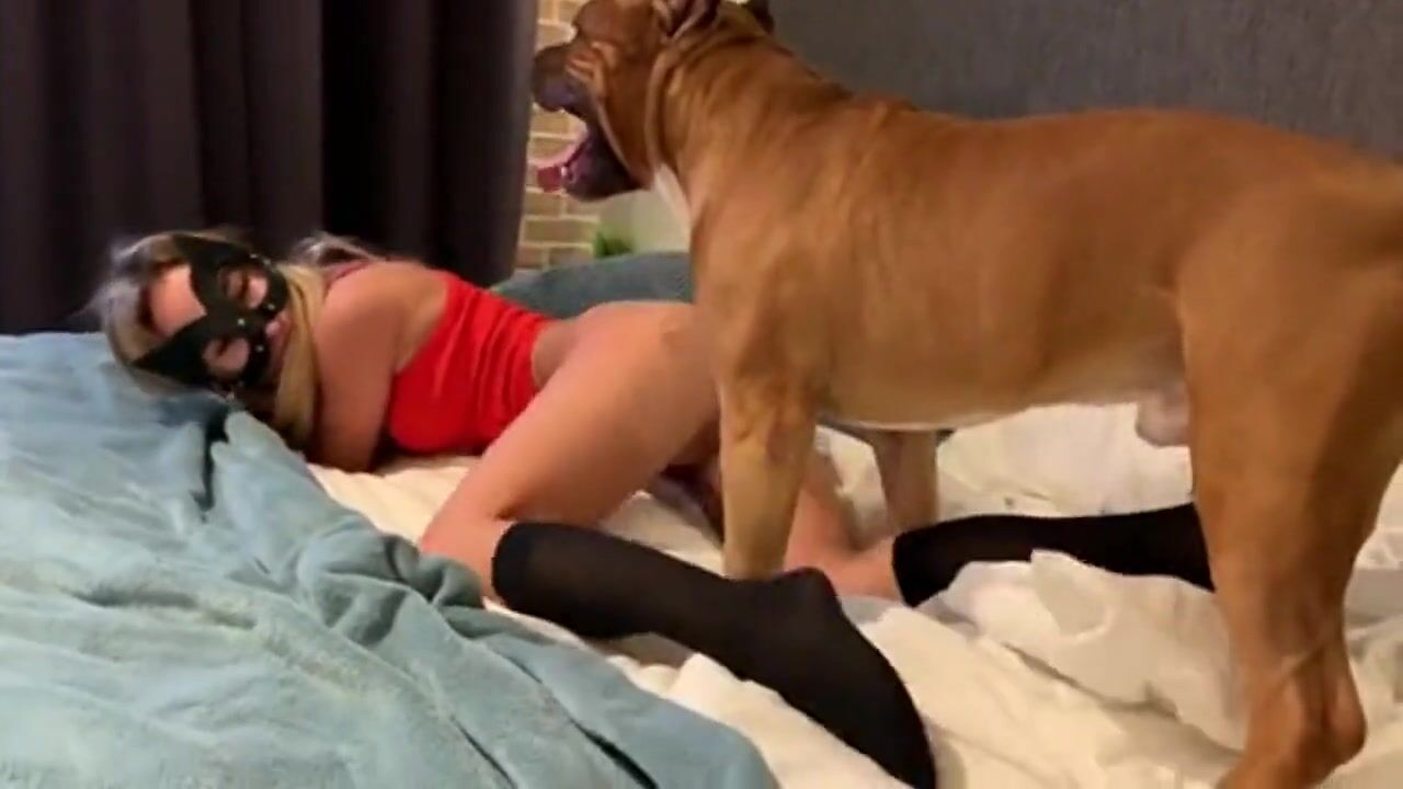 Skinny Babe Sonya Sucks Dick For Doggy Cum
